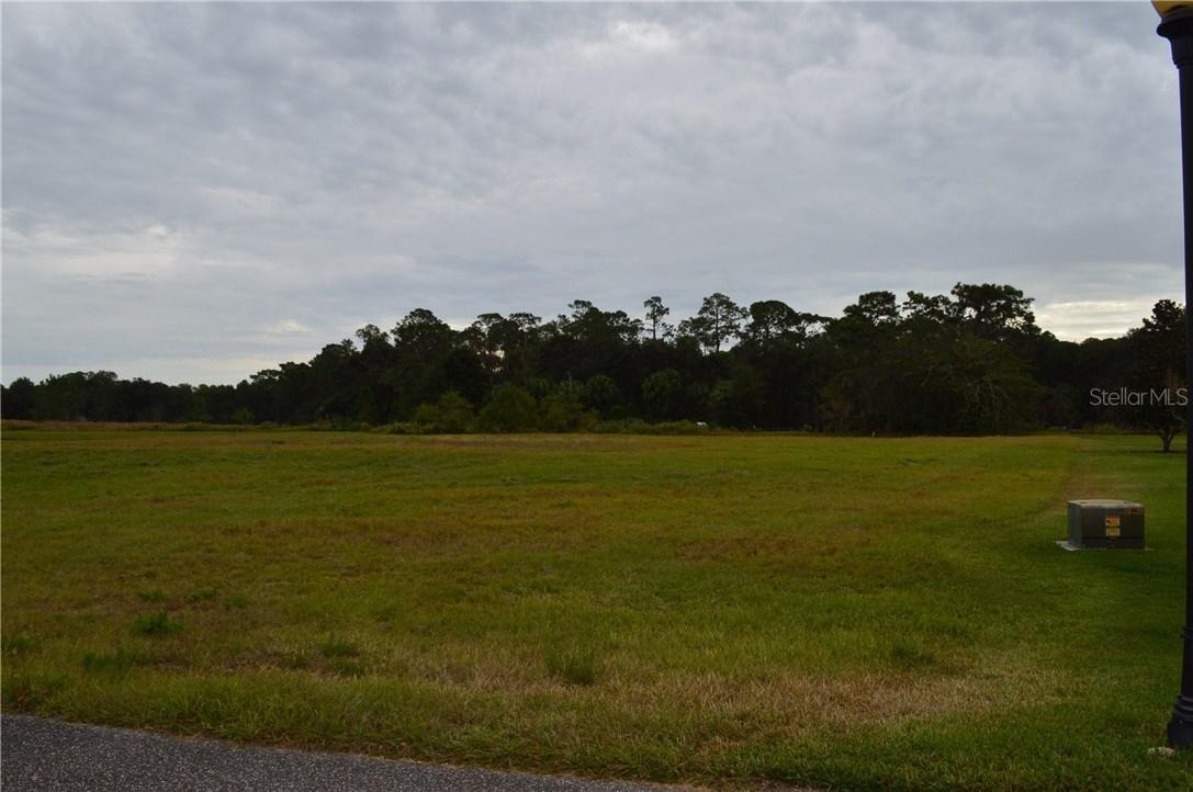 2616 Tylers River Run, Lutz, FL 33559