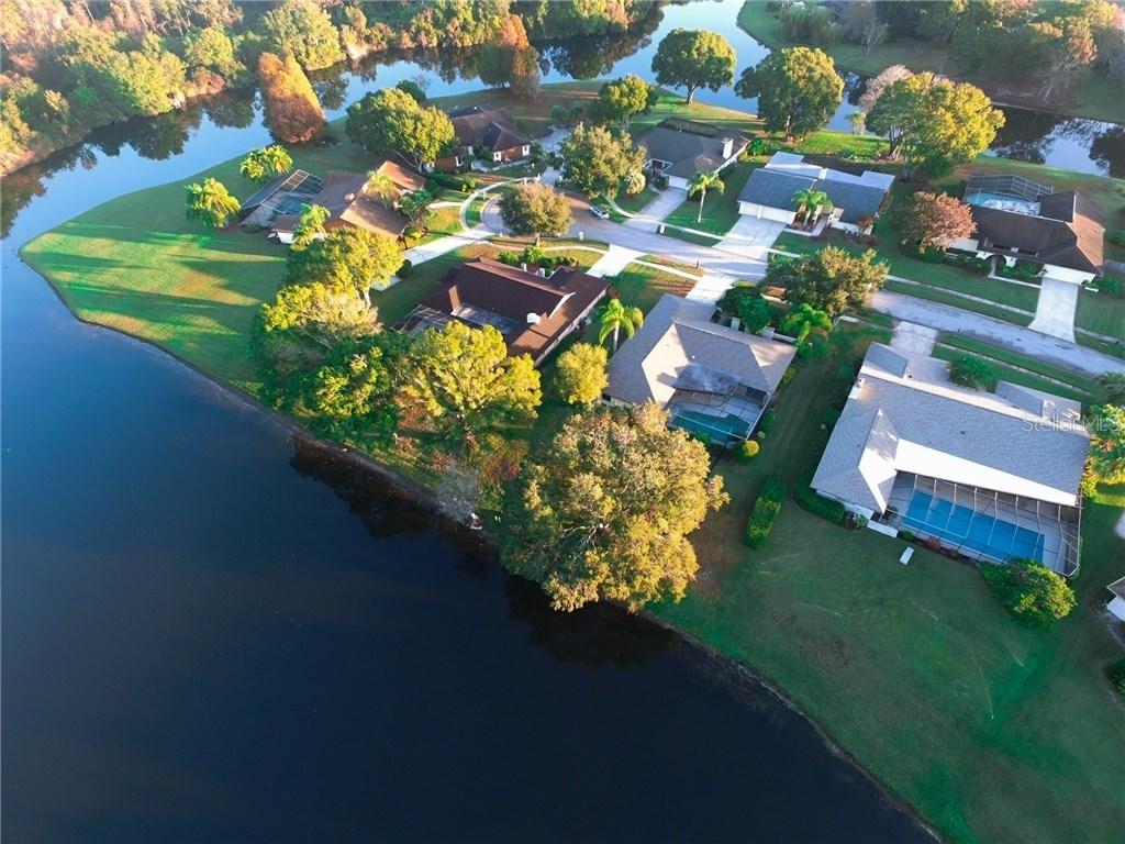 4324 Middle Lake Dr., Tampa, FL 33624