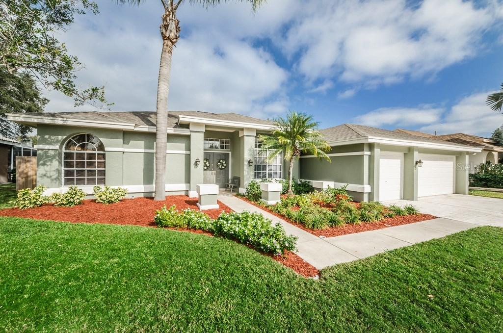 1823 Marsh Wren Way, Palm Harbor, FL 34683