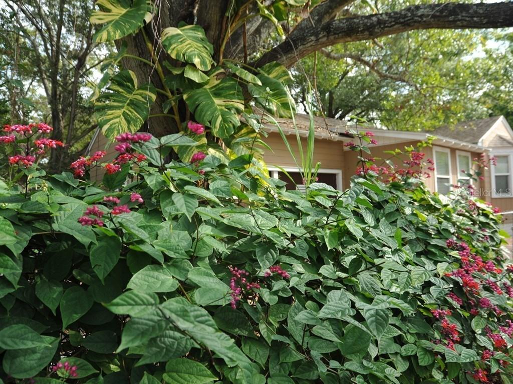 3163 6th Ave., St Petersburg, FL 33713