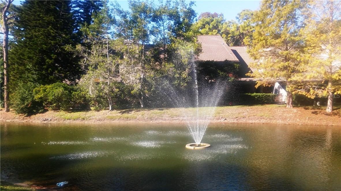 508 Lennox Rd., Palm Harbor, FL 34683