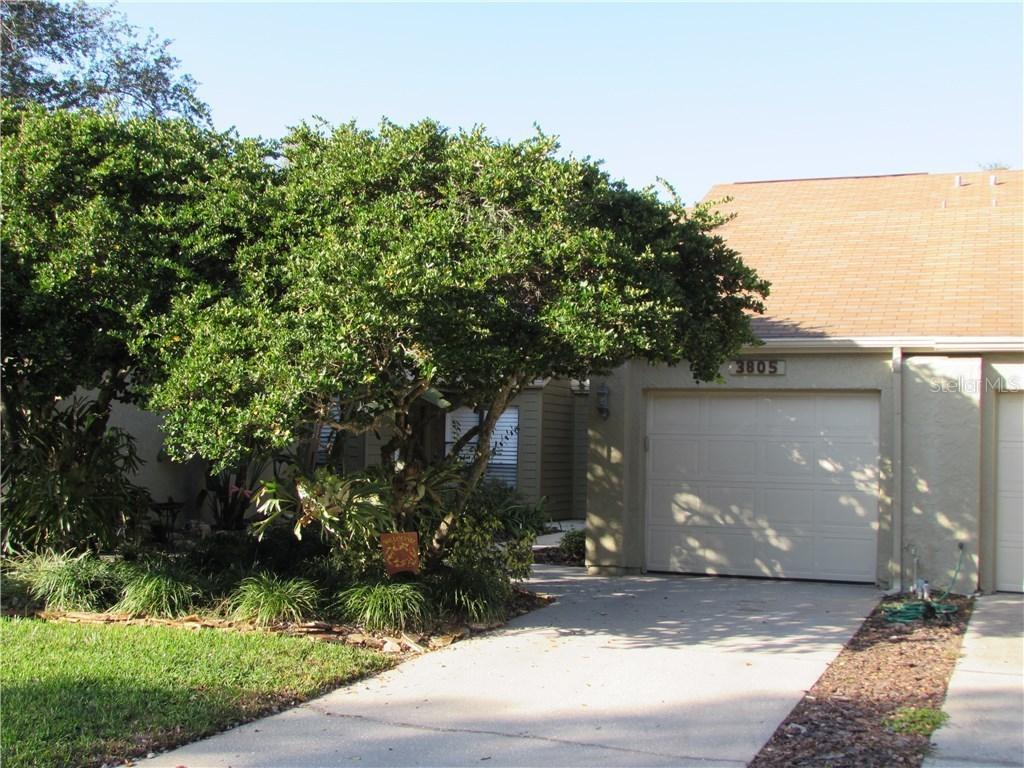 3805 Esplanade Ct., Tampa, FL 33618