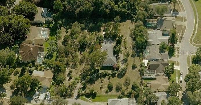 2498 Winding Way, Palm Harbor, FL 34683