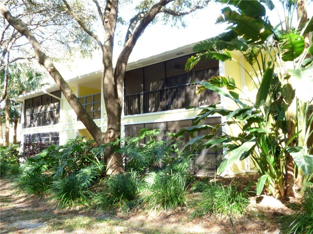 3295 Fox Chase Cir. #206, Palm Harbor, FL 34683