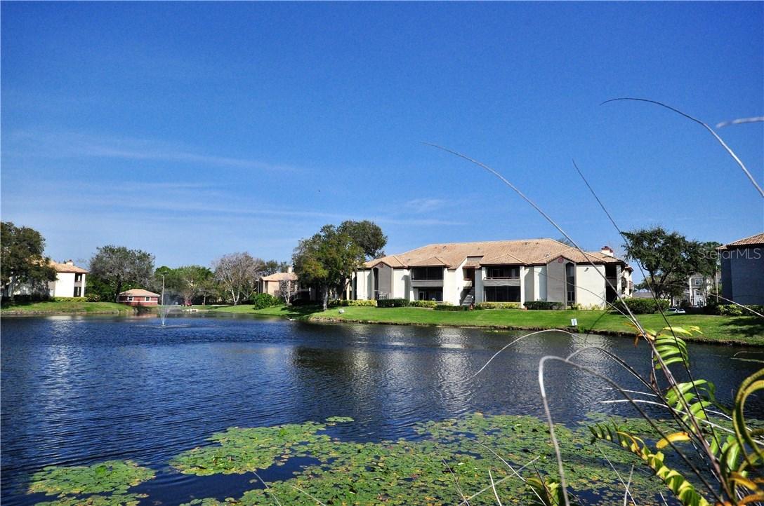 10263 Gandy Blvd. #207, St Petersburg, FL 33702