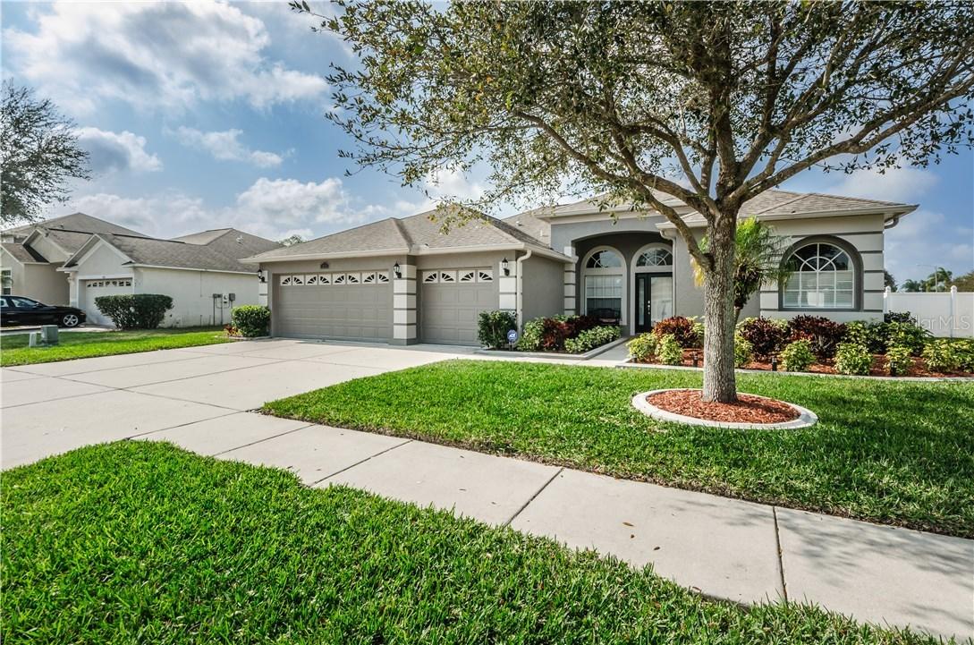 1625 Pink Guara Ct., Trinity, FL 34655