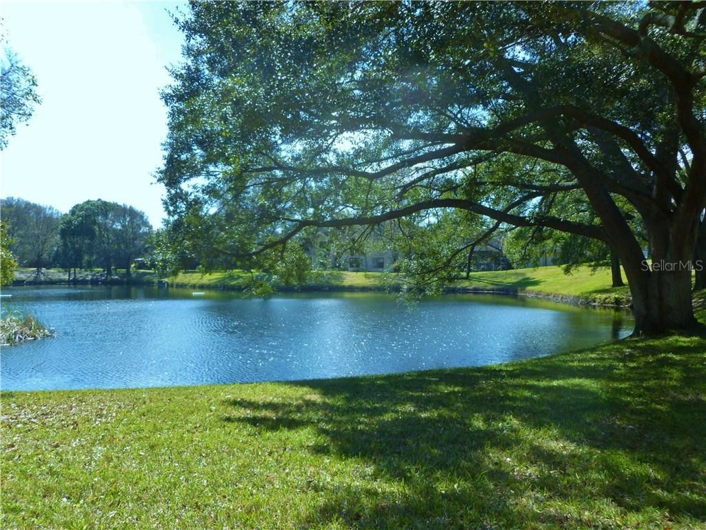 545 Westlake Blvd. #61, Palm Harbor, FL 34683
