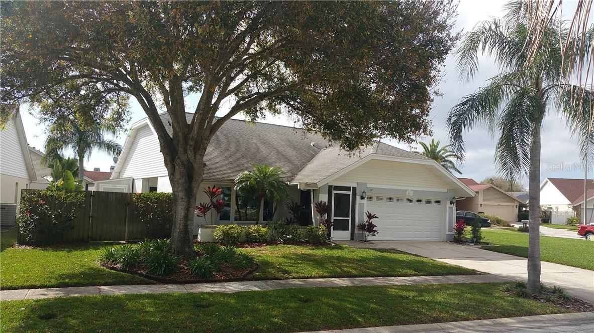 12004 Peony Ct., Tampa, FL 33635