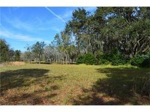 2604 Tylers River Run, Lutz, FL 33559