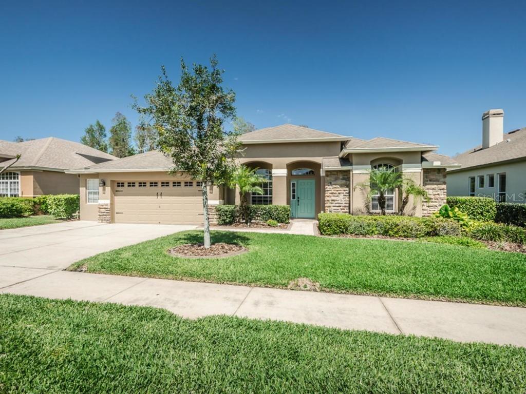 1452 Tawnyberry Ct., Trinity, FL 34655