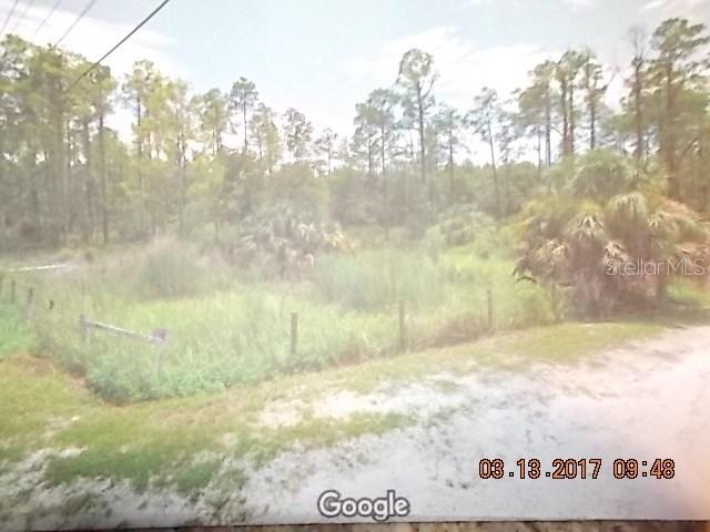 Gladwin, Hudson, FL 34667