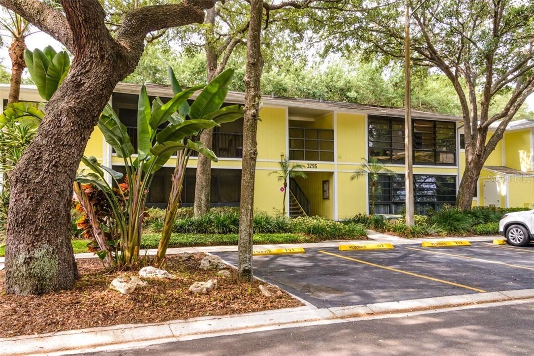 3295 Fox Chase Cir. #104, Palm Harbor, FL 34683