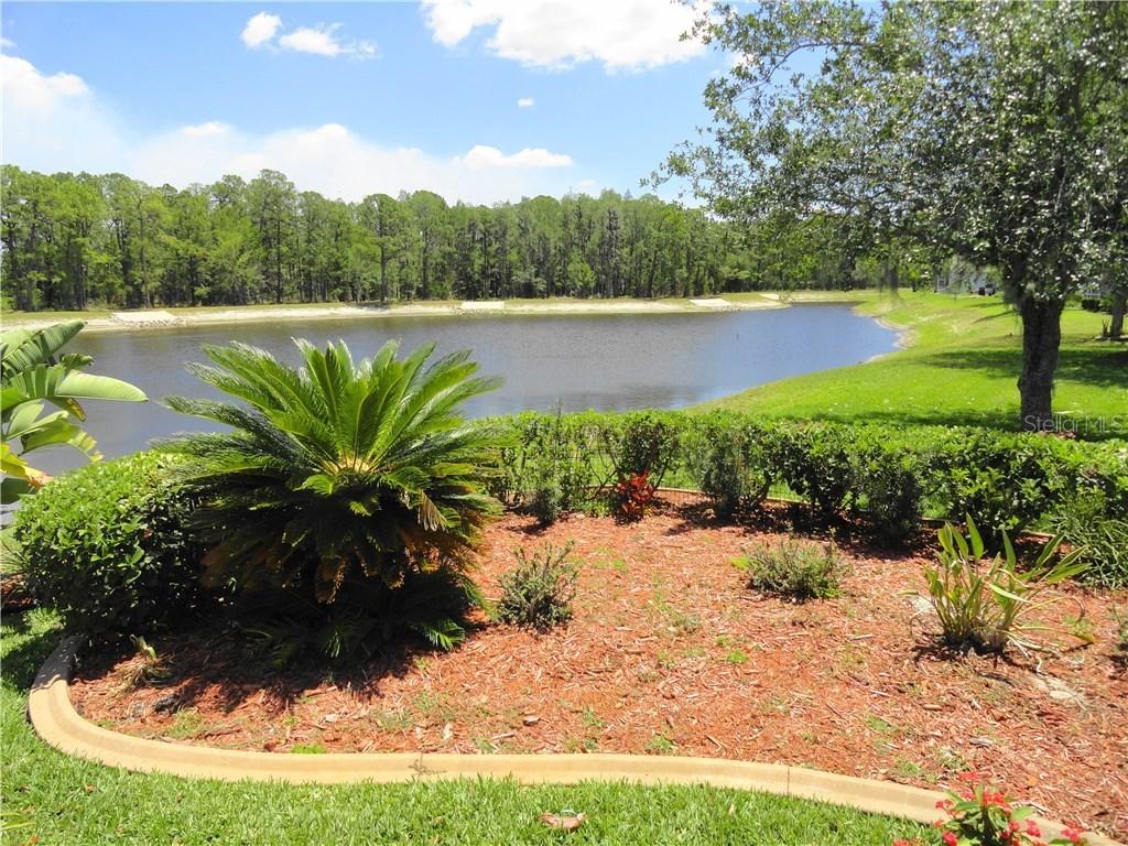 1415 Winding Willow Dr., Trinity, FL 34655