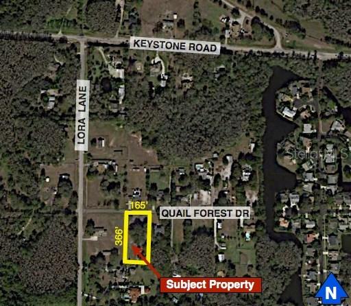 Quail Forest Dr., Tarpon Springs, FL 34688