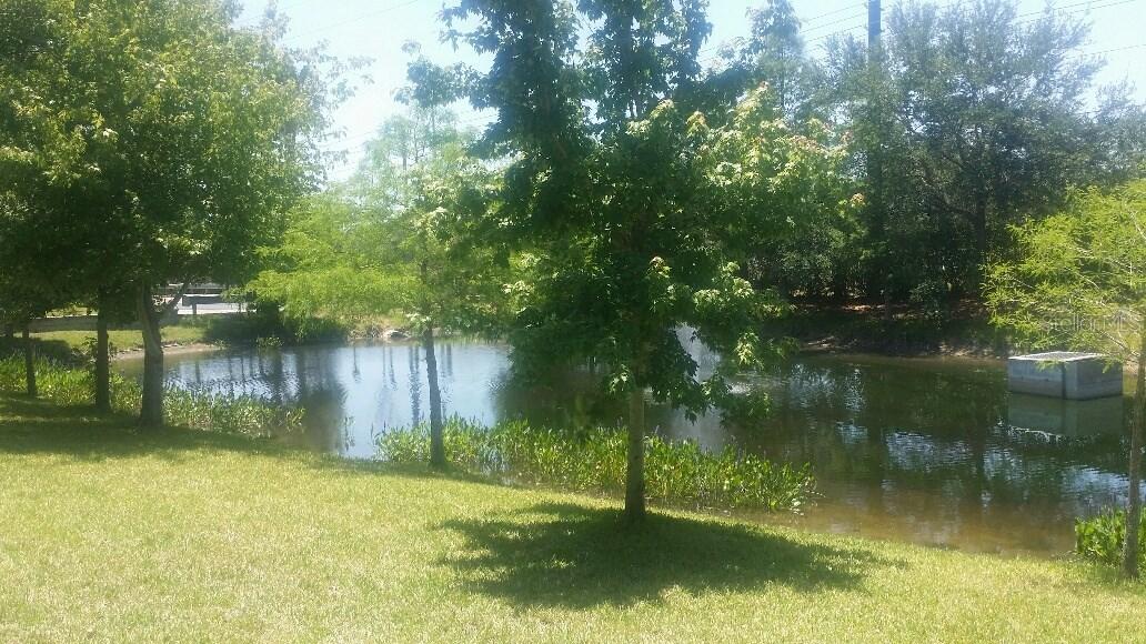 2022 Strathmill Dr., Clearwater, FL 33755