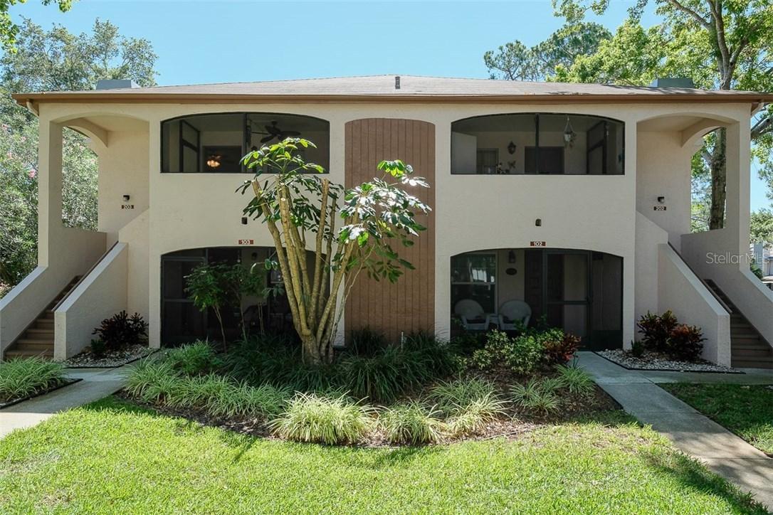 3019 Bonaventure Cir. #203, Palm Harbor, FL 34684