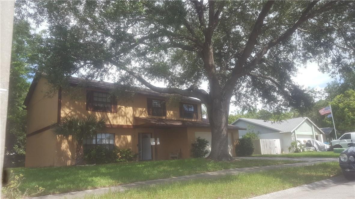 414 Still Meadows Cir., Palm Harbor, FL 34683