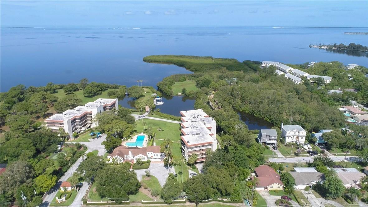 502 S Florida Ave. #124, Tarpon Springs, FL 34689