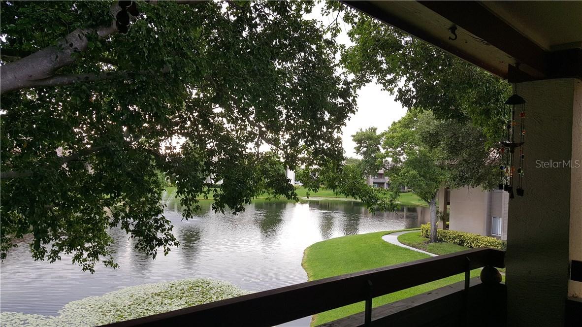 10263 Gandy Blvd. #510, St Petersburg, FL 33702
