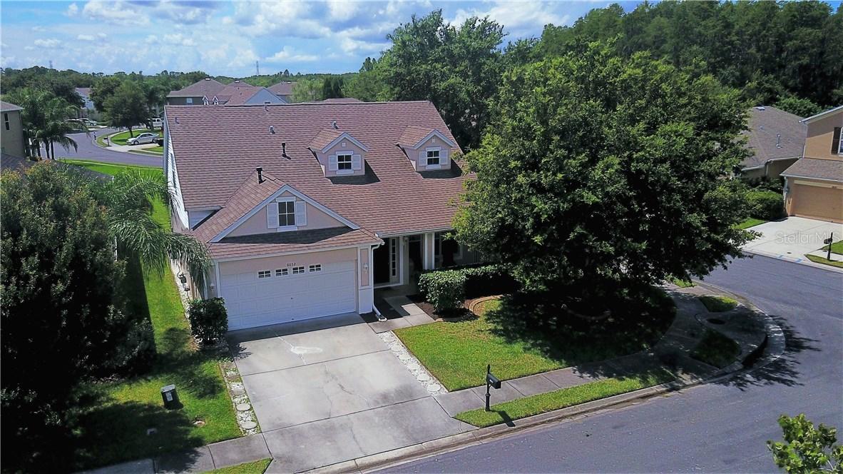 8052 Pea Tree Ct., Trinity, FL 34655