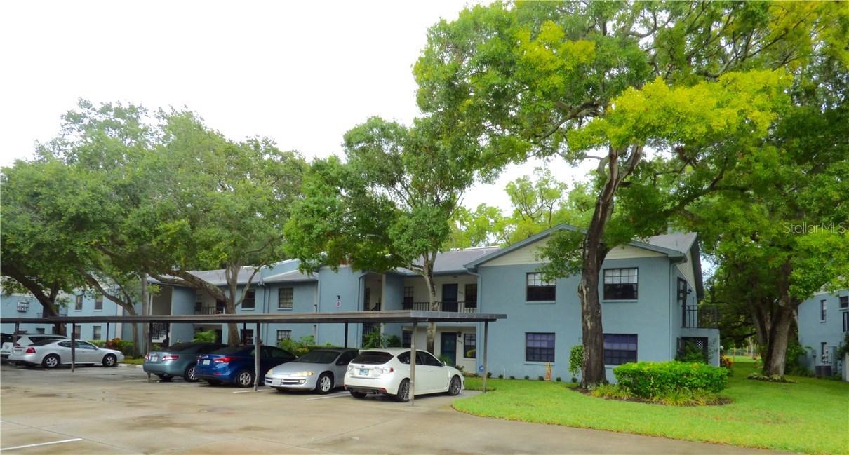 11800 Park Blvd. #411, Seminole, FL 33772