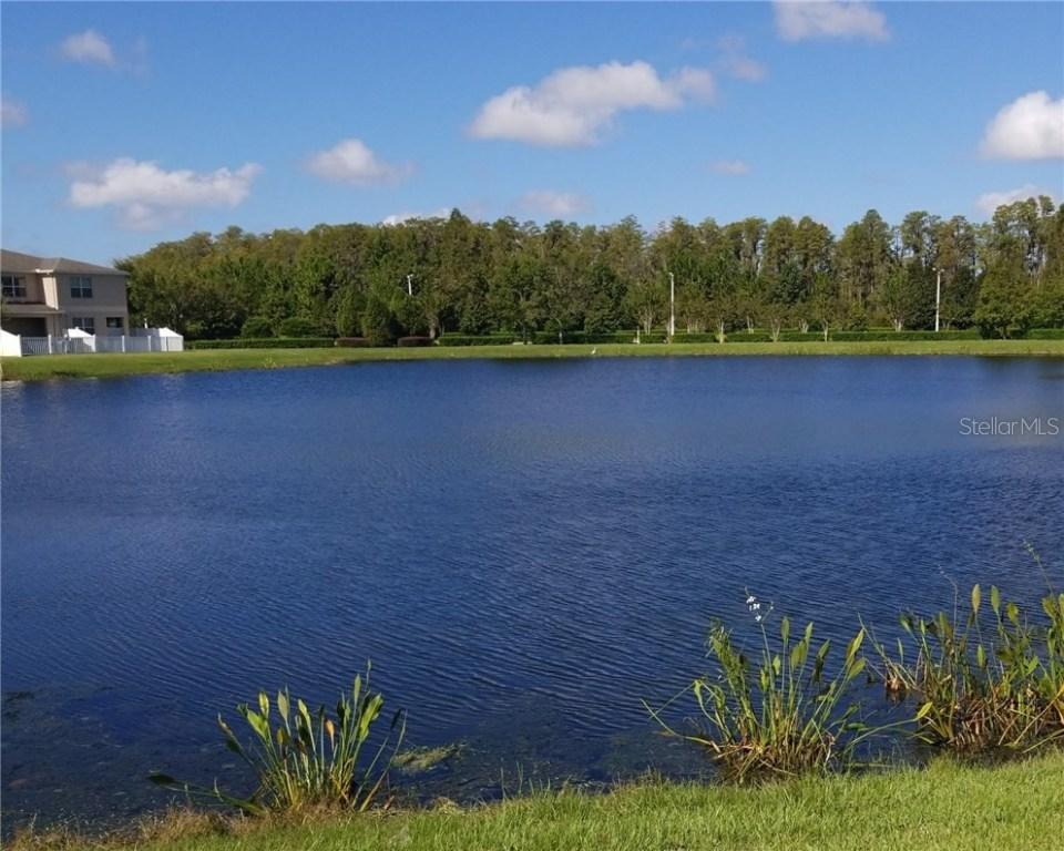 11981 Greengate Dr., Hudson, FL 34669