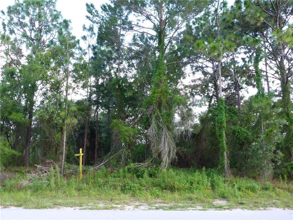 12092 Genter Dr., Spring Hill, FL 34609