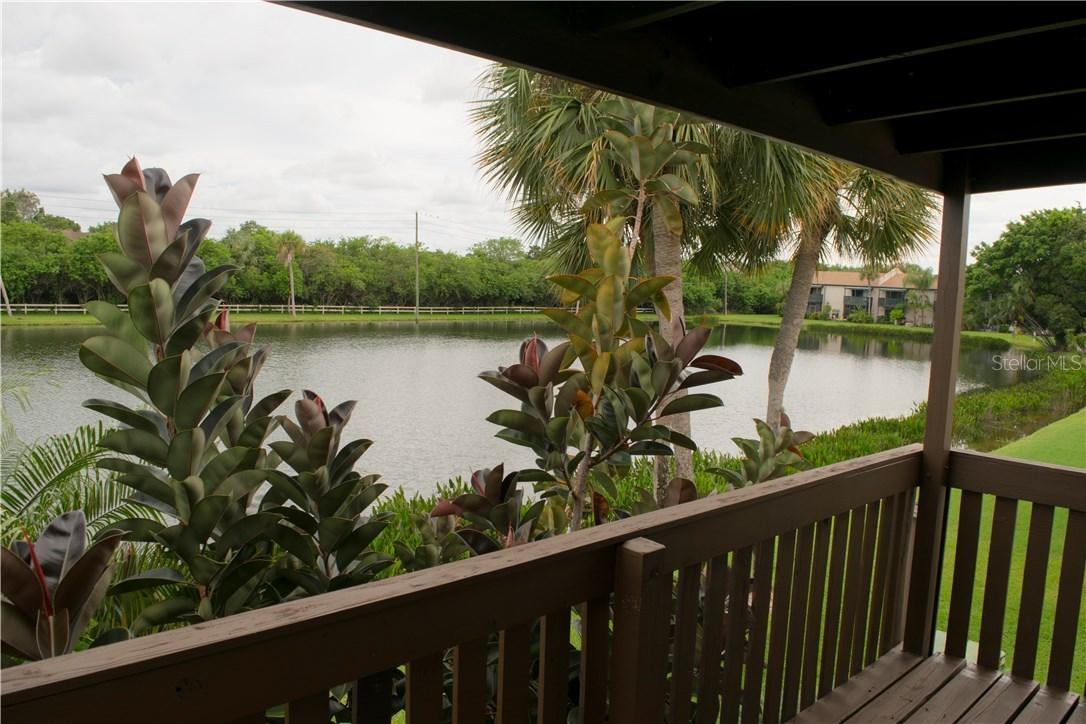 706 115th Ave. #2402, St Petersburg, FL 33716