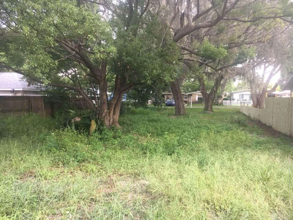 TBD Illinois Ave., Palm Harbor, FL 34683