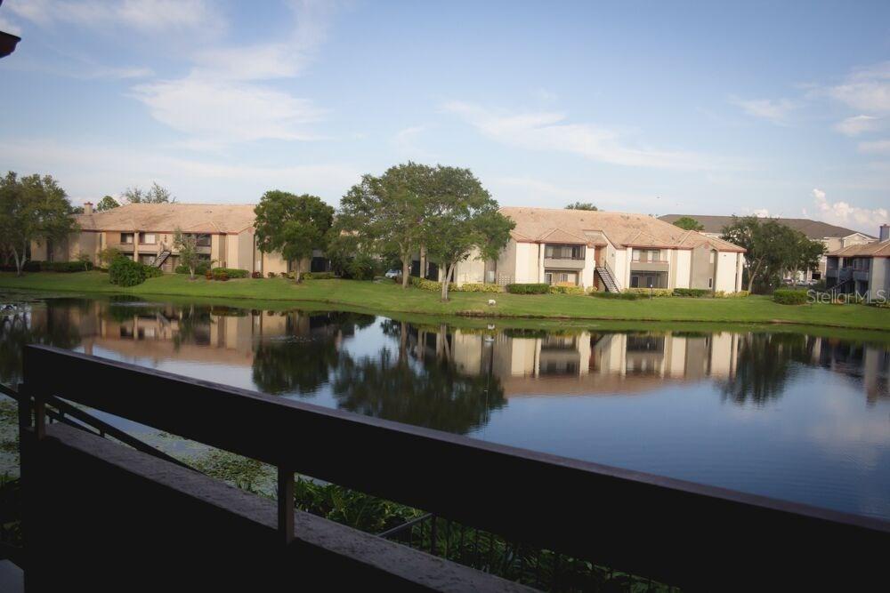 10265 Gandy Blvd. #1510, St Petersburg, FL 33702