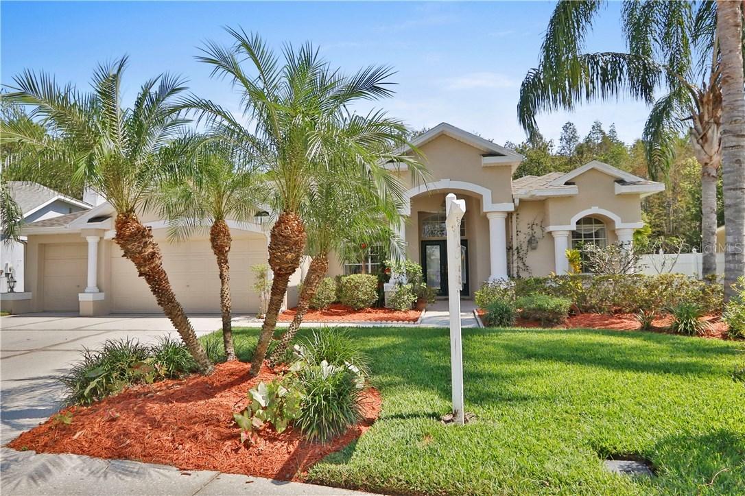 26066 Sawgrass Ct., Land O Lakes, FL 34639