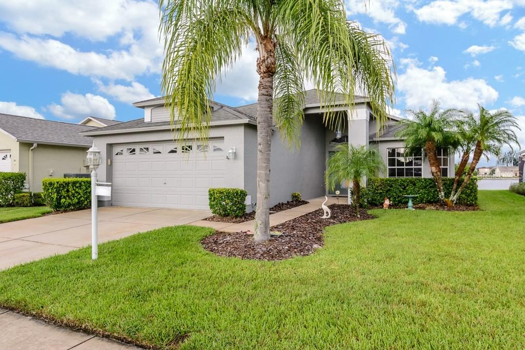 1648 Arbor Knoll Loop, Trinity, FL 34655