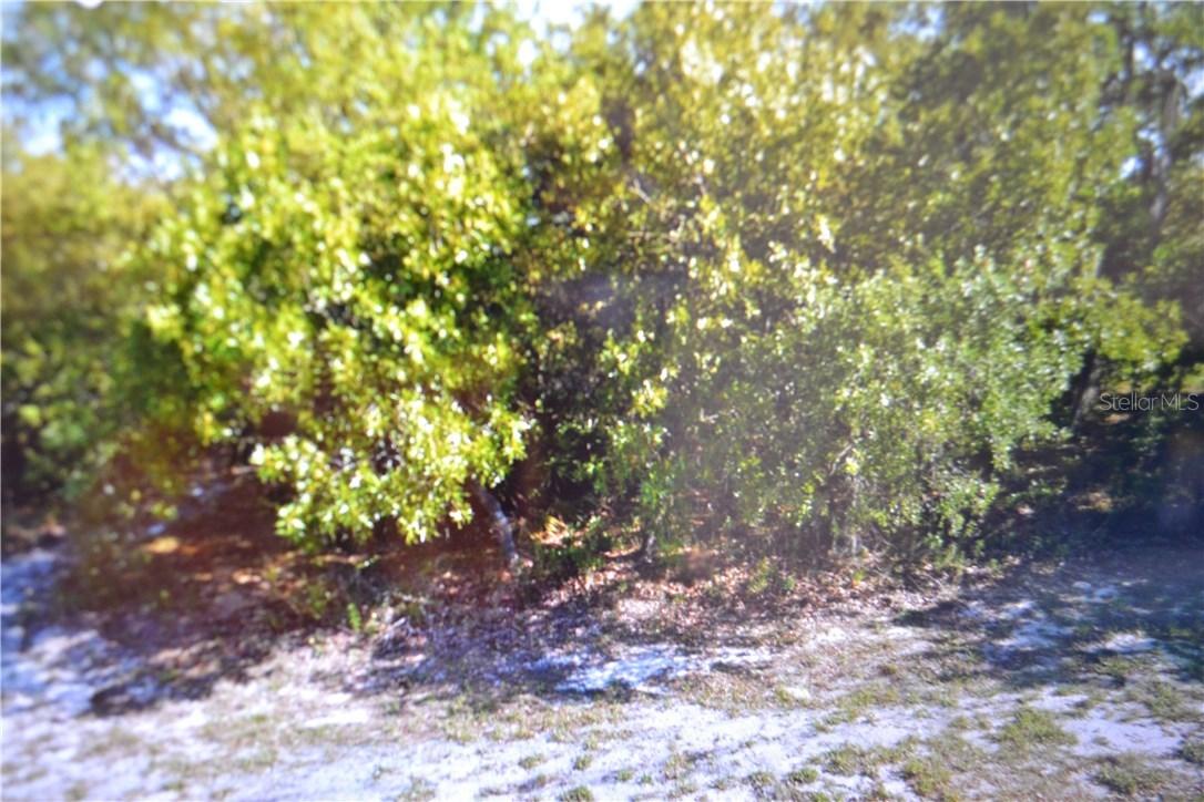 Crossandra Ln., Spring Hill, FL 34610