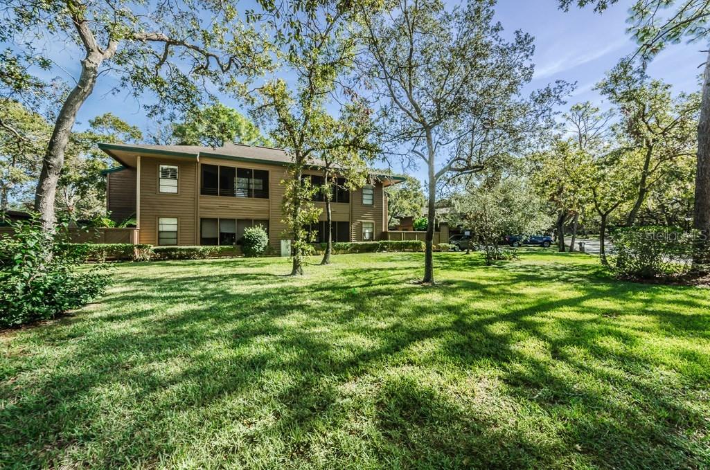 1203 Lennox Rd., Palm Harbor, FL 34683