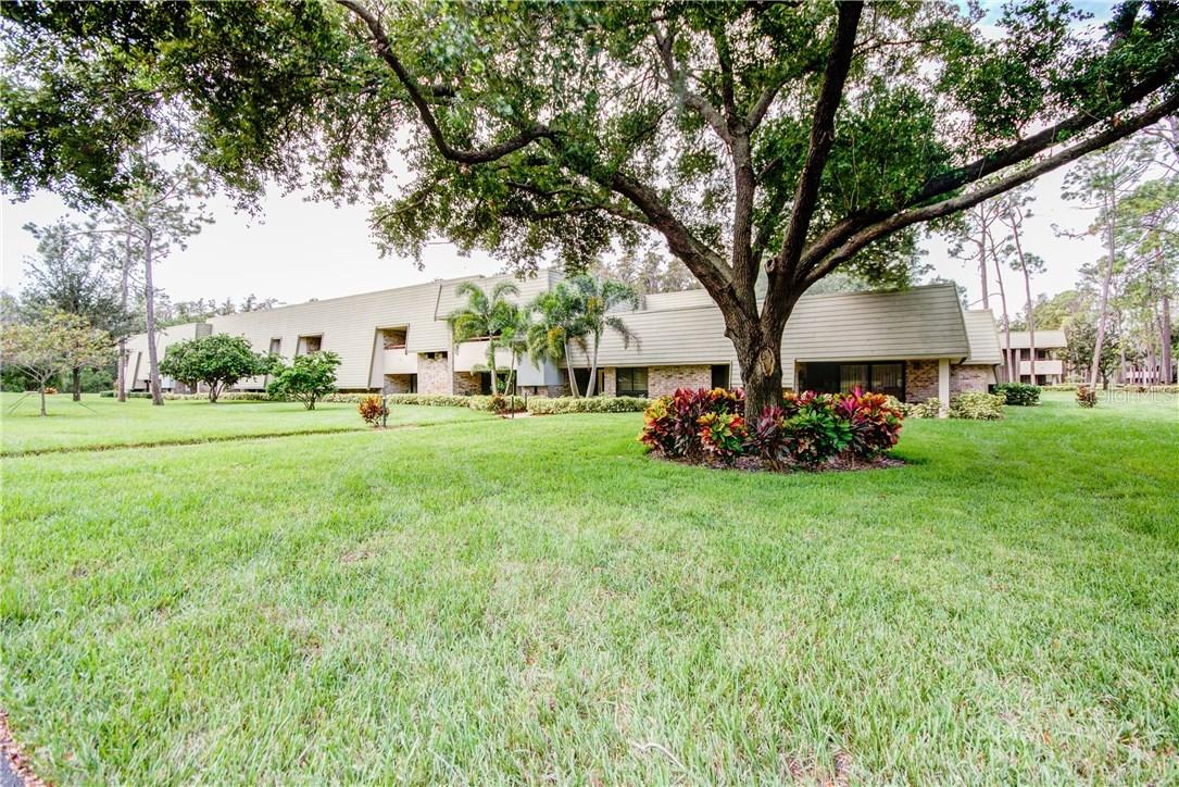 36750 Us Highway 19 #2042, Palm Harbor, FL 34684