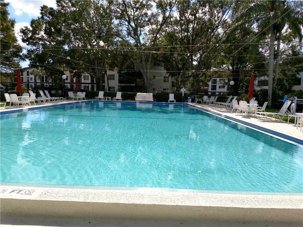 2597 Countryside Blvd. #217, Clearwater, FL 33761