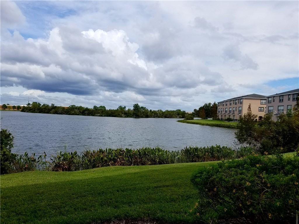 2521 Lexington Oak Dr., Brandon, FL 33511