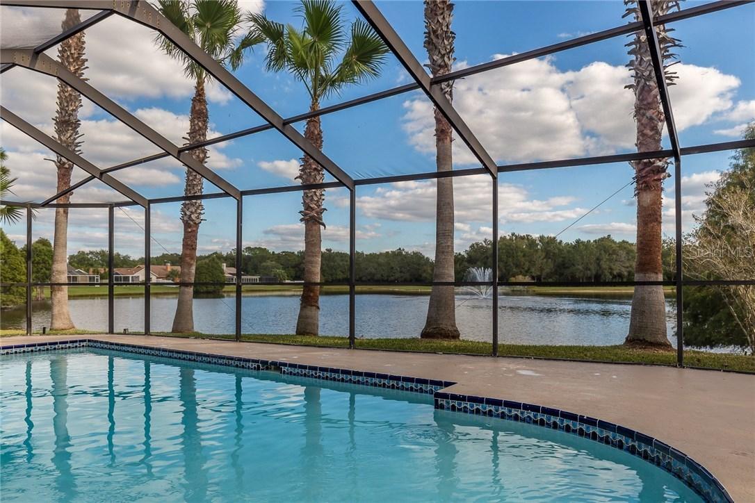 8801 Fieldflower Ln., Tampa, FL 33635