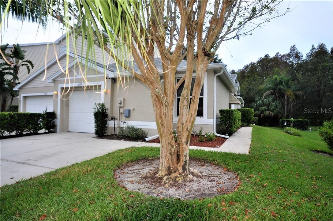 3202 Audubon Ct., Tarpon Springs, FL 34688