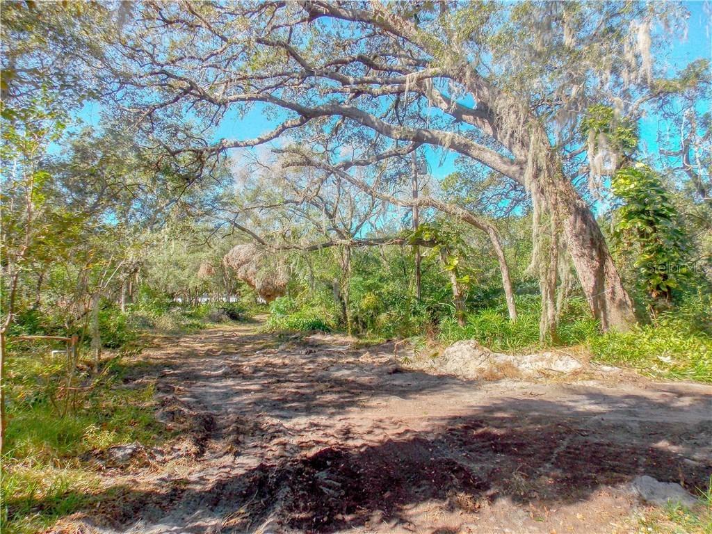 1580 Hermosa Dr., Palm Harbor, FL 34683
