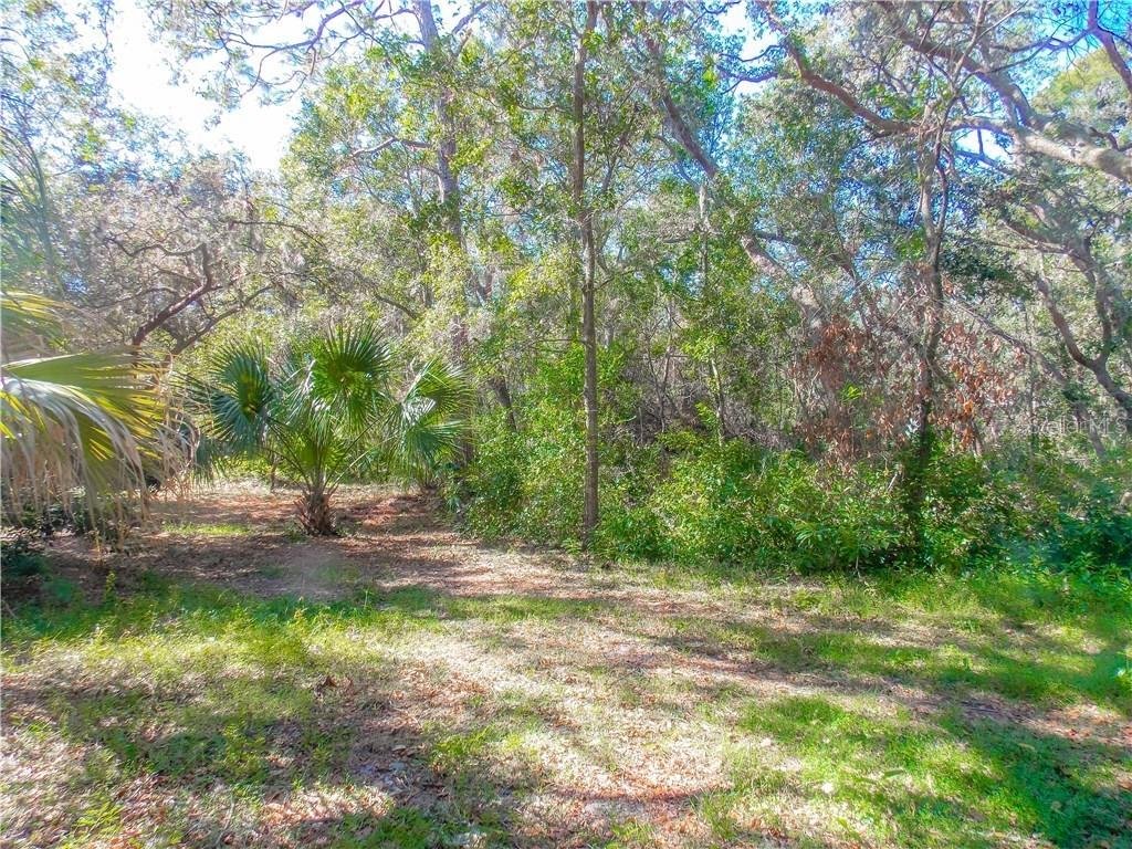 869 Manning Rd., Palm Harbor, FL 34683