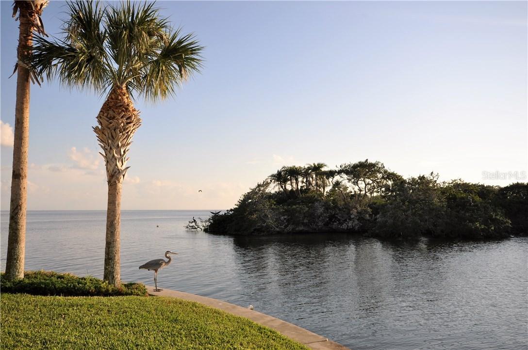 5283 Beach Dr. #A, St Petersburg, FL 33705