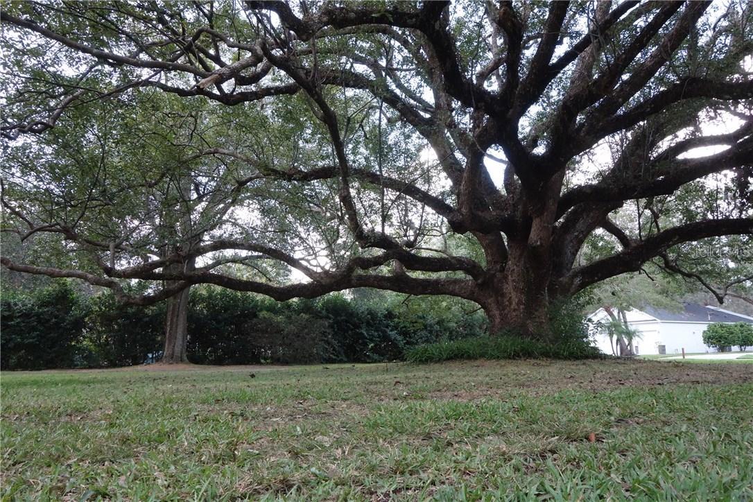 2214 Henderson Dr., Orlando, FL 32806