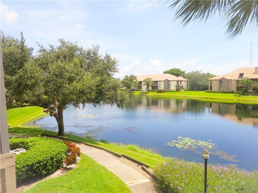10263 Gandy Blvd. #2411, St Petersburg, FL 33702