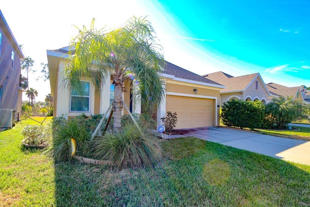 11422 Quiet Forest Dr., Tampa, FL 33635