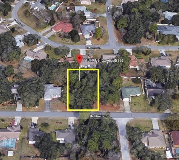 11049 Belltower St., Spring Hill, FL 34608