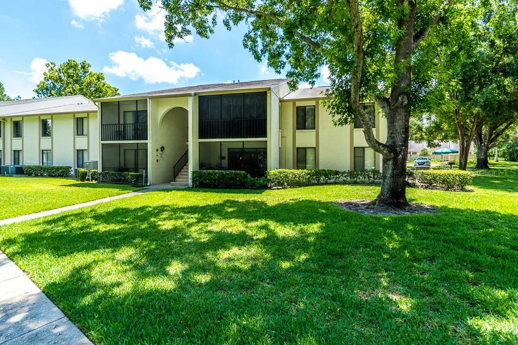 1354 Shady Pine Way #B2, Tarpon Springs, FL 34688