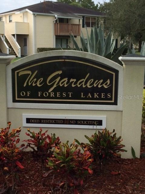 137 Hunter Lake Dr. #B, Oldsmar, FL 34677