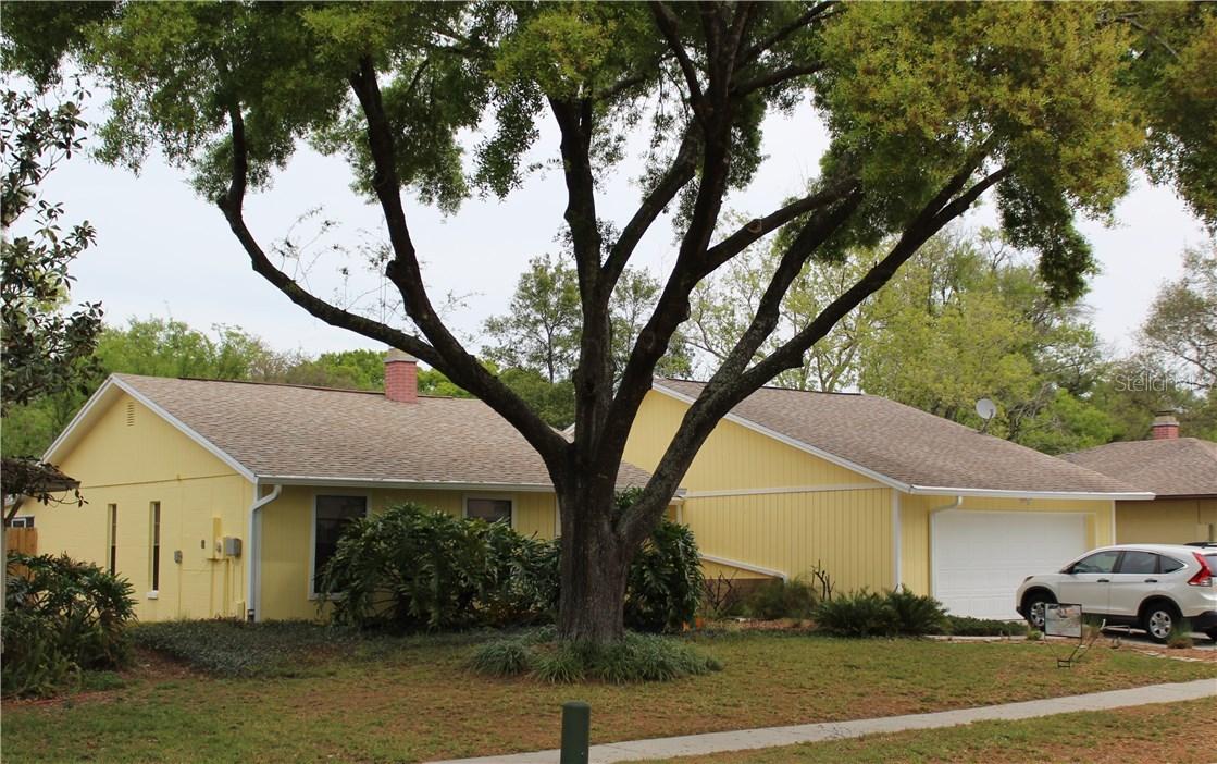 2316 Windsor Oaks Ave., Lutz, FL 33549