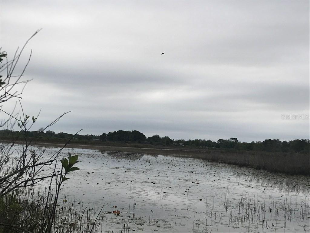 6351 Clearwater Dr., Spring Hill, FL 34606